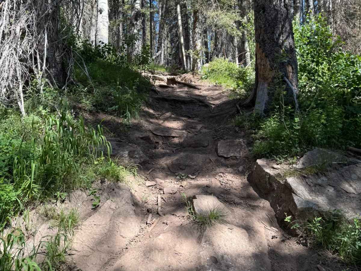 Aspen Flat Trail No. 018 photo 5