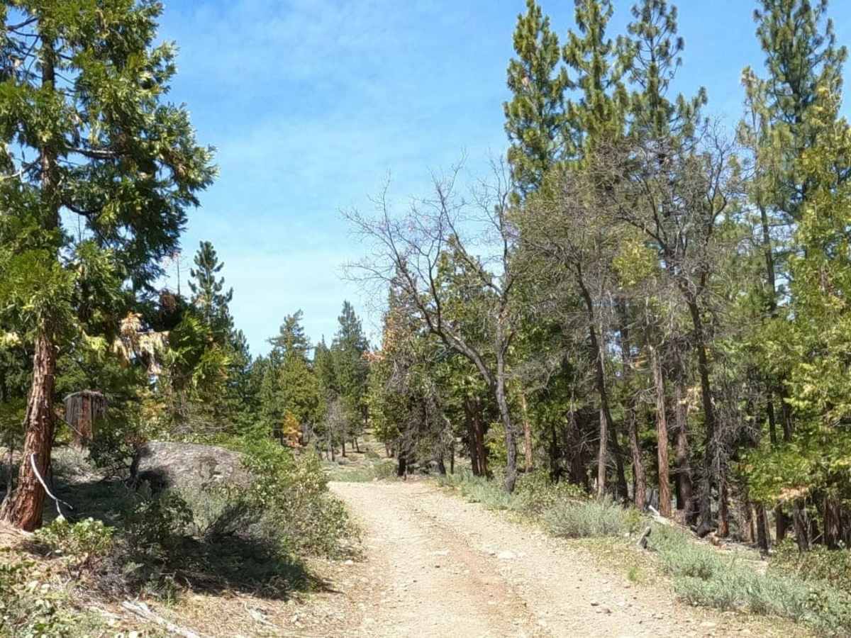 Bonta Ridge - NF23N05Y photo 3