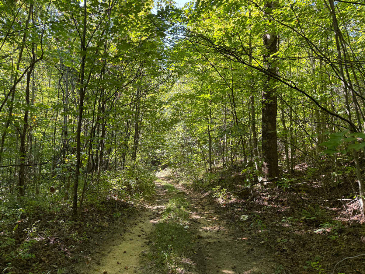 52 trail photo