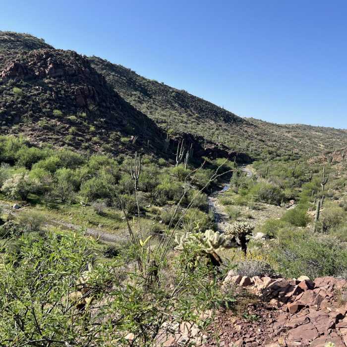 Near Arizona Trail Passage 18: Reavis Canyon