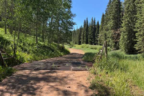 Upper Gypsum Creek Road - FS 101