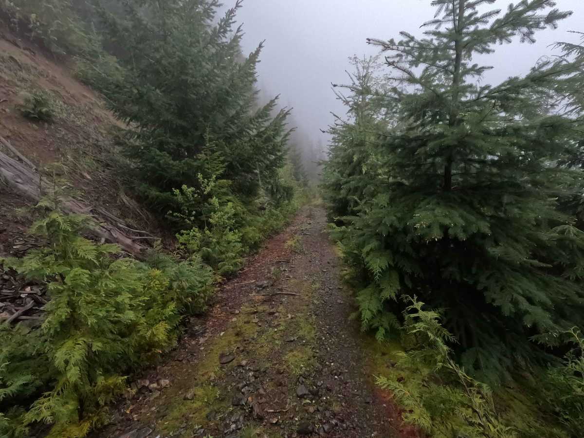 Upper Illabot Road - FS 16 photo 4