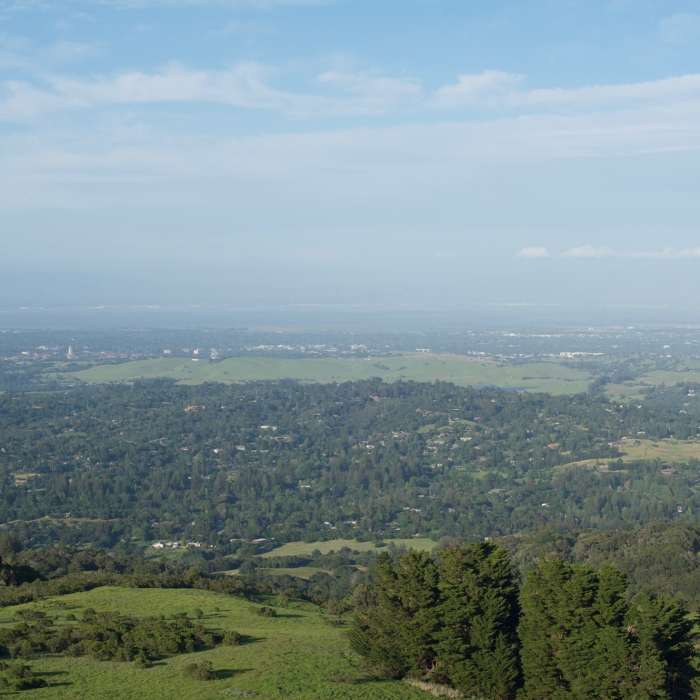 Near Bay Area Ridge Trail: Windy Hill Open Space Preserve