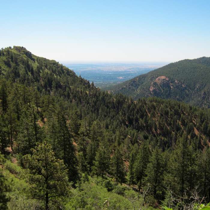 Near Section 16/Palmer Loop