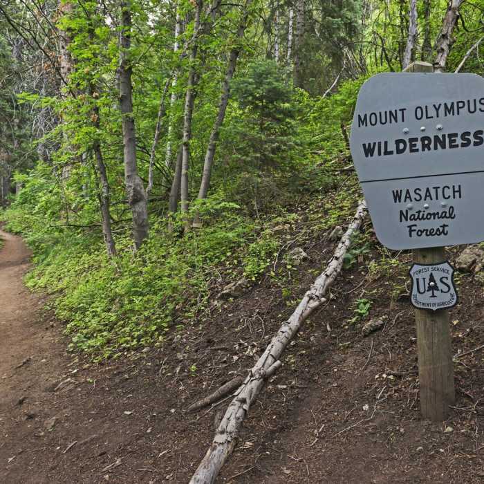 Near Terraces - Elbow Fork Trail