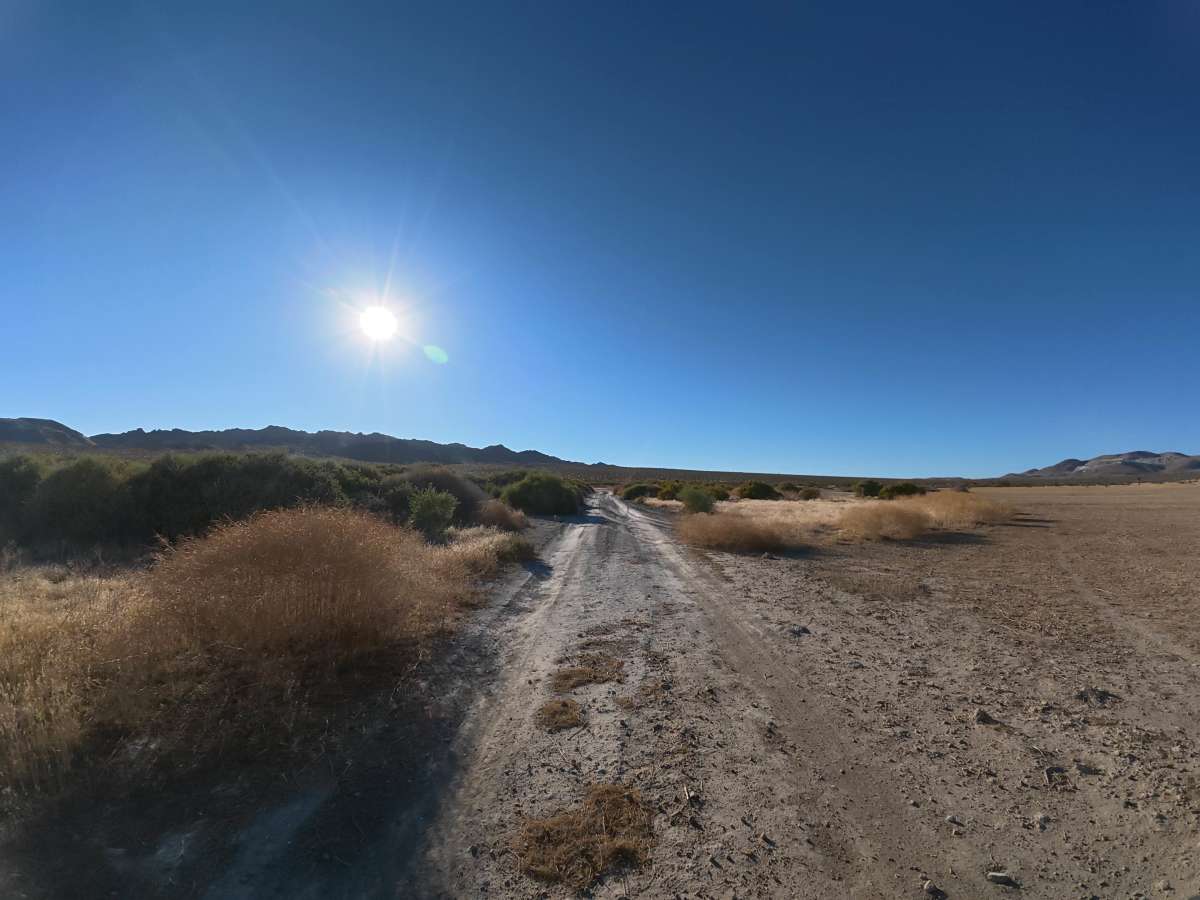 BLM SV2616 photo 6