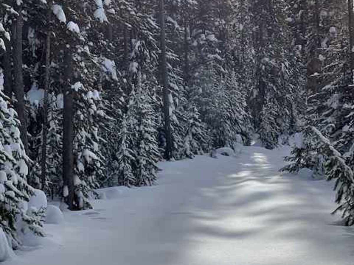 Tipton to South Fork photo 4
