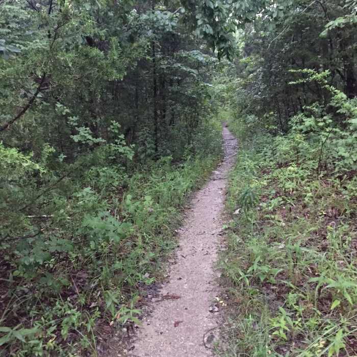 Near Devils Racetrack