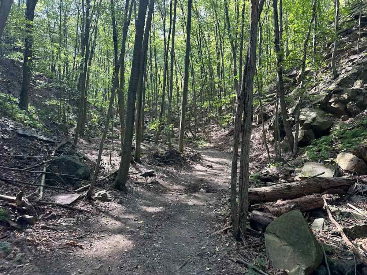 ATV Trail 81 photo 6
