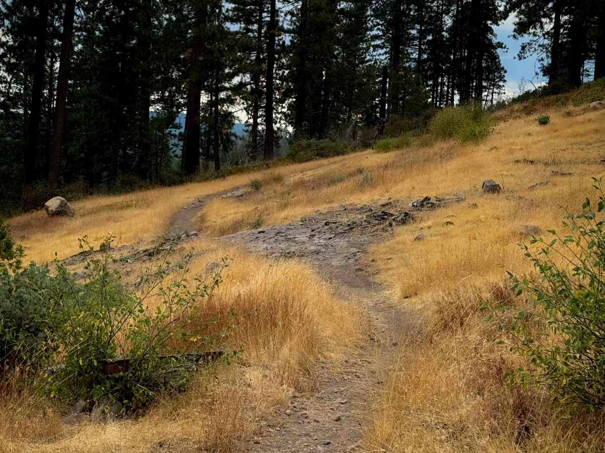 15EV55 trail photo