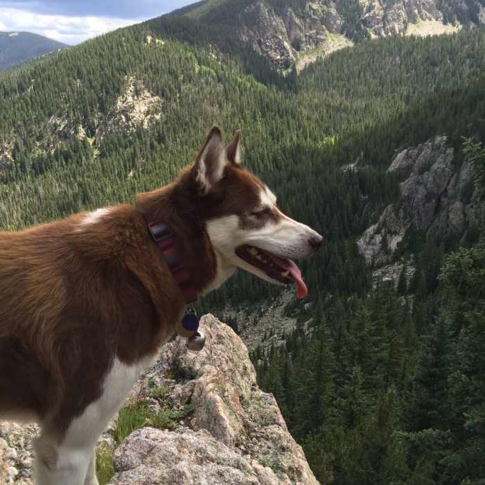 Near Ski Santa Fe Loop