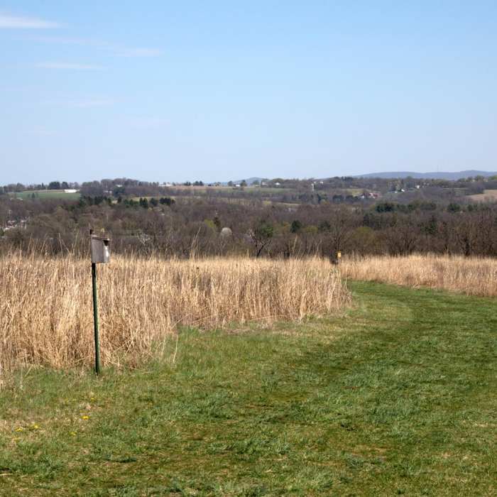 Near Homestead Trail