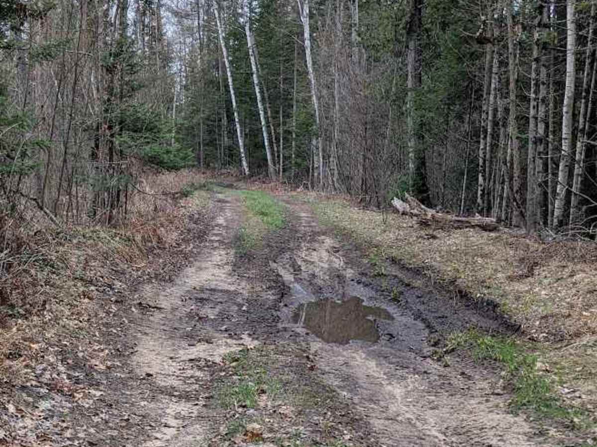 Hawk Trail photo 4