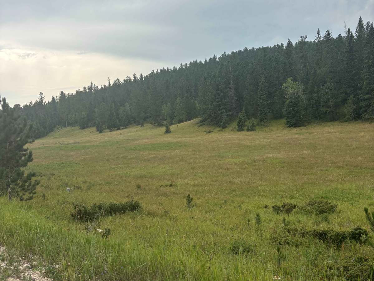 Castle Creek photo 4