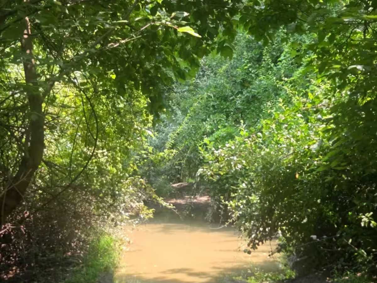 Rock Hill Loop photo 2