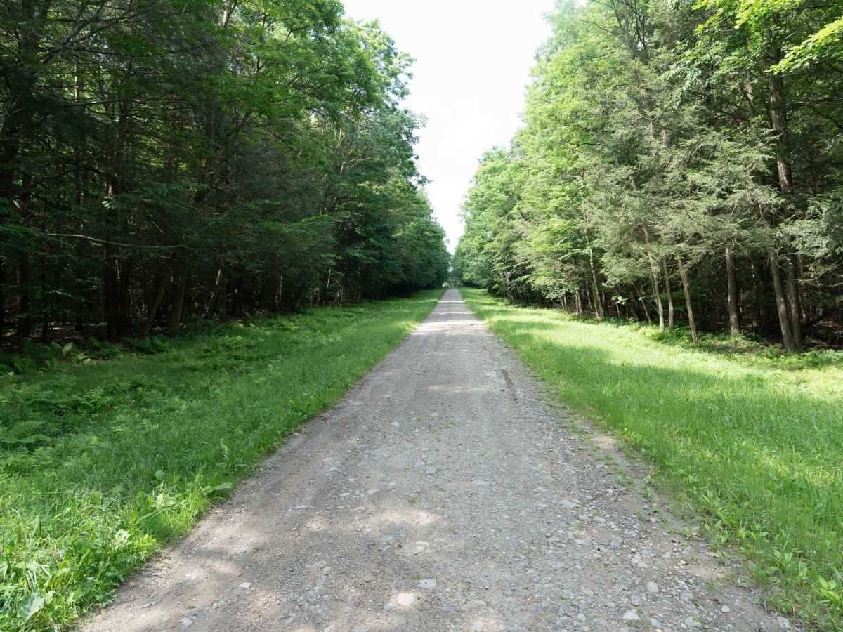 Canaseraga Truck Trail photo 4
