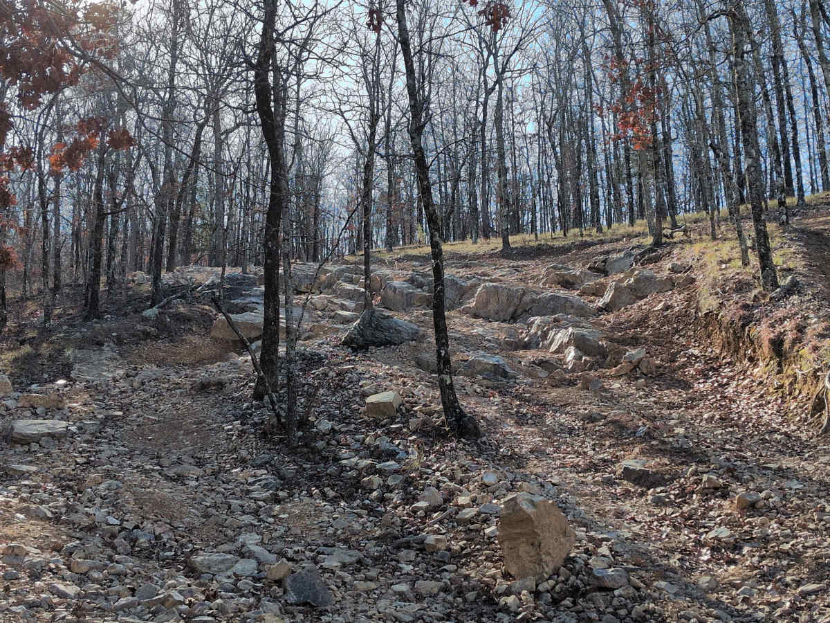 G4 Don's 101 trail photo