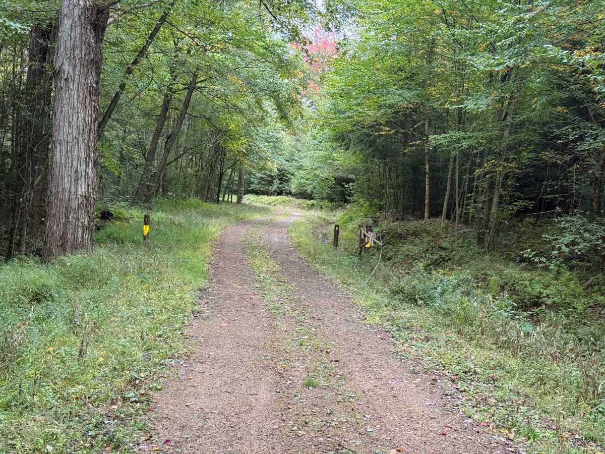 North Branch - FS 293 photo 4