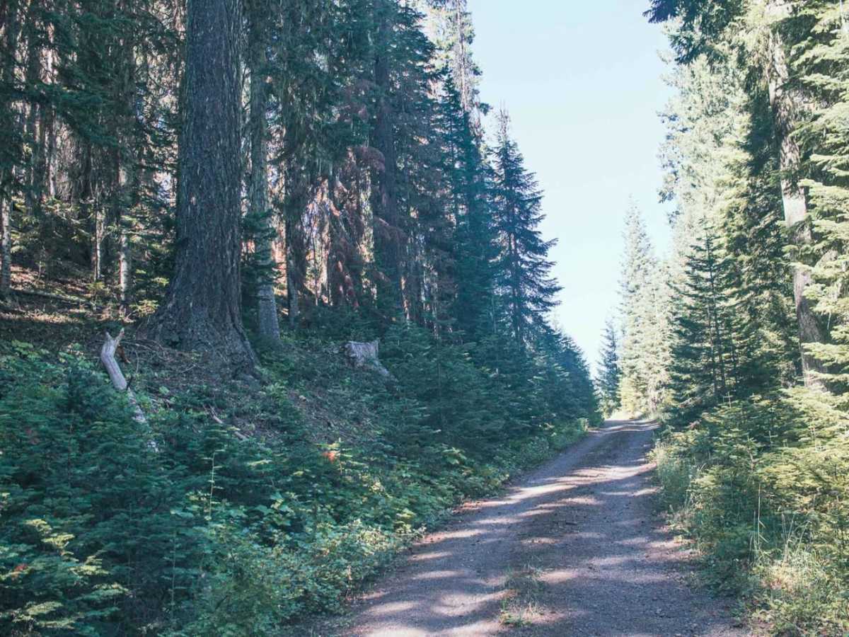 Doe Head Mountain photo 5