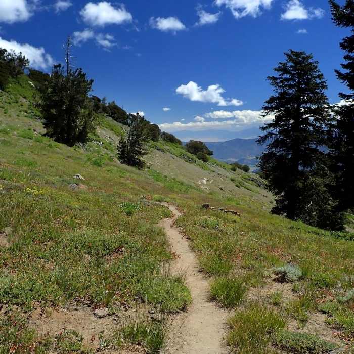 Near Second Valley Trail #5529