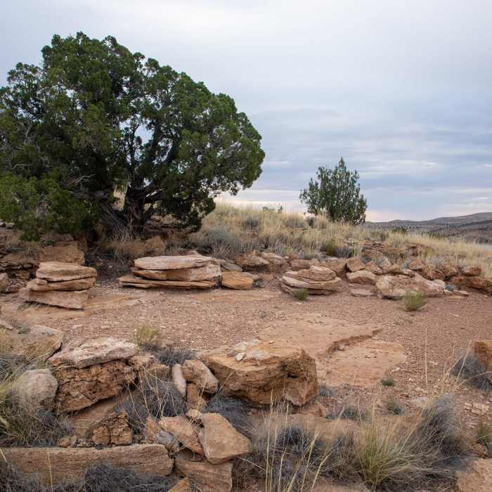 Near Buffalo Near Buffalo