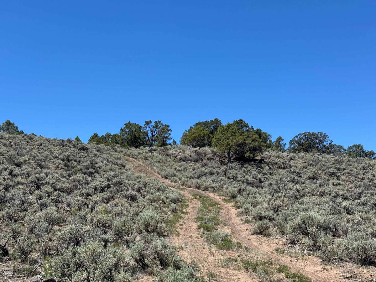 BLM 8477C photo 6