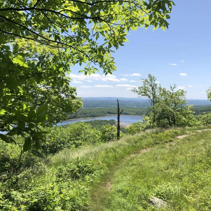 On the ridge you'll have great views Near AT / Kaiser Trail / Coppermine Trail
