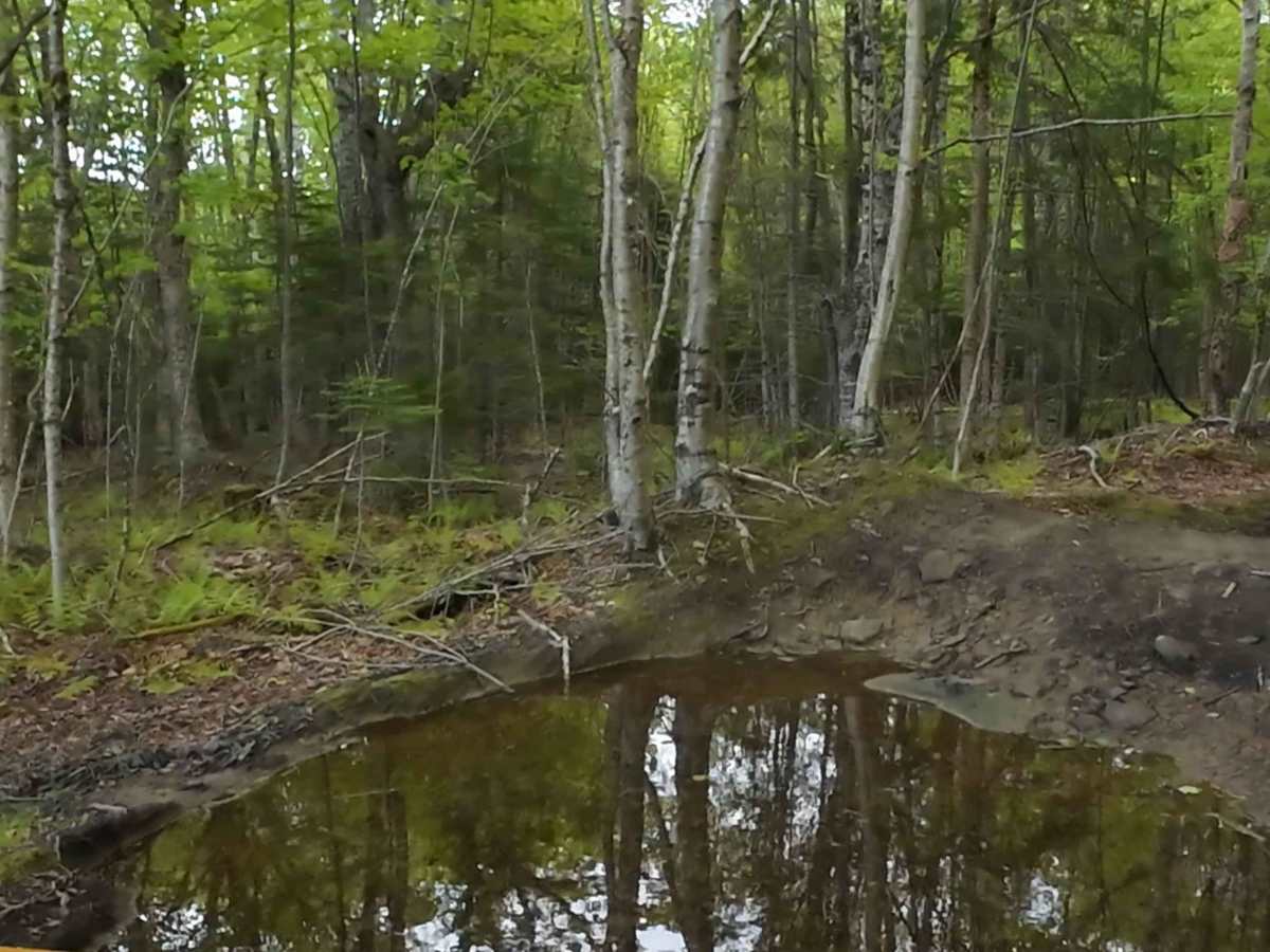 Beaumont Inland Trails photo 3
