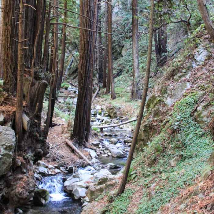 Near Limekiln Trail Near Limekiln Trail