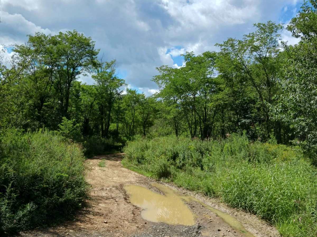 Rhino Loop - Rock Run Recreation Area photo 3