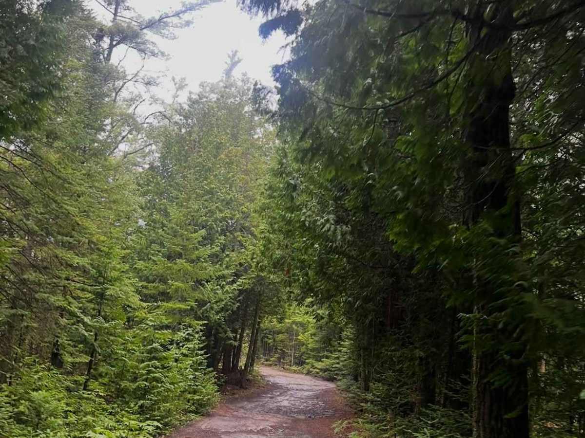 Dave Lauer Memorial Trail photo 4