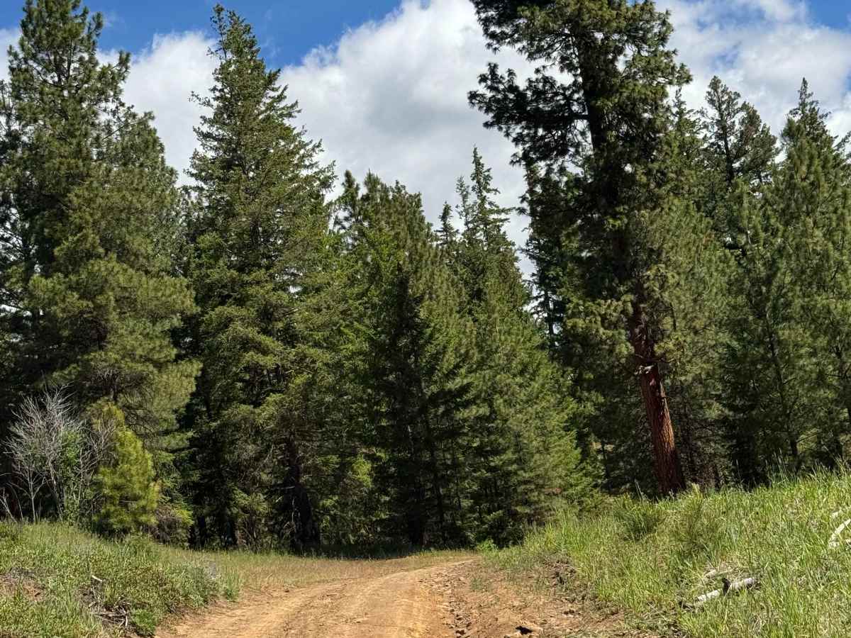 Rocky Point - FS 1714 photo 6