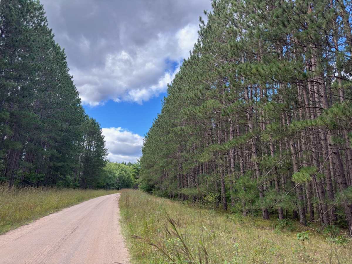 Seaton Creek - FS 9993 photo 6