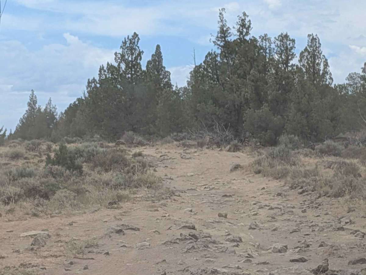 Cline Buttes OHV Trail 27 photo 6
