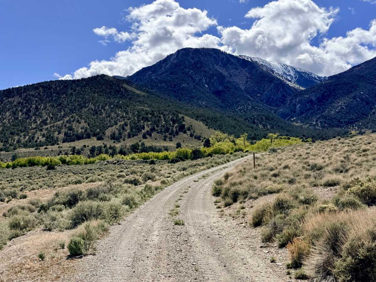 Bowman Creek FS43307 photo 5