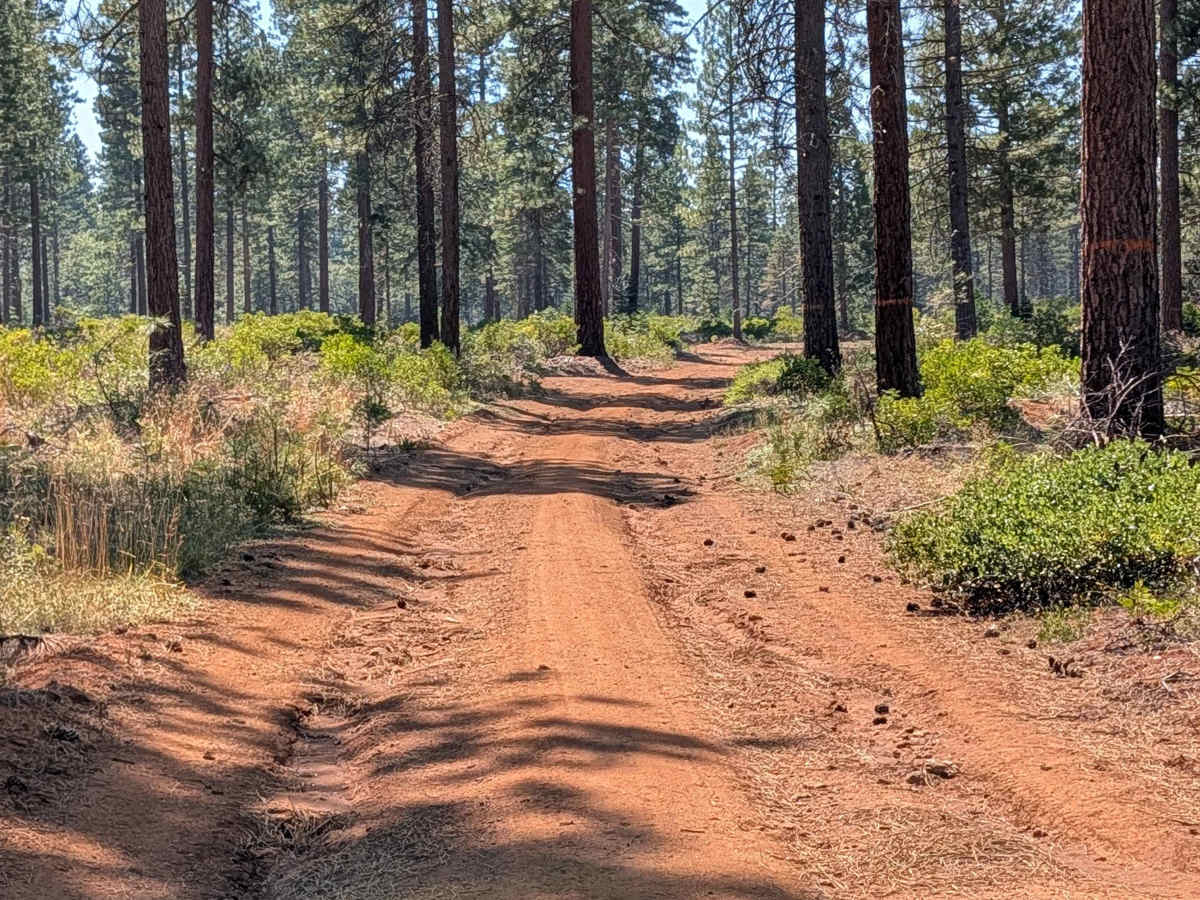 Well - FS 40N50 trail photo