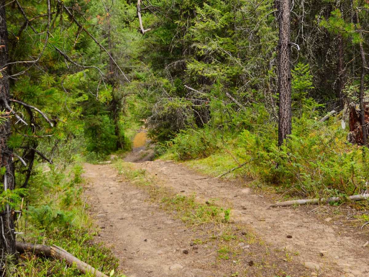 CP Flight 21 Crash Site Trail trail photo