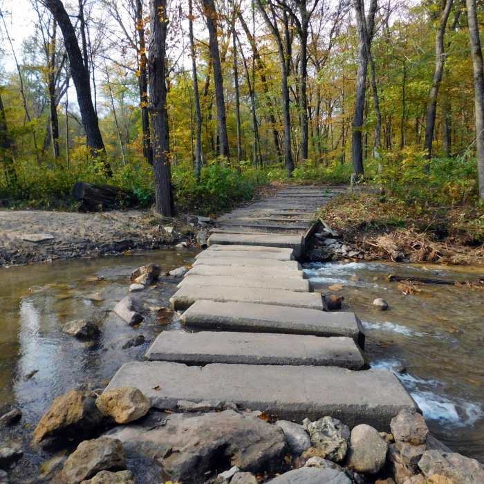 Near Hidden Falls Trail