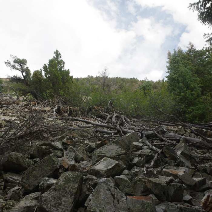 Near Pole Canyon Trail