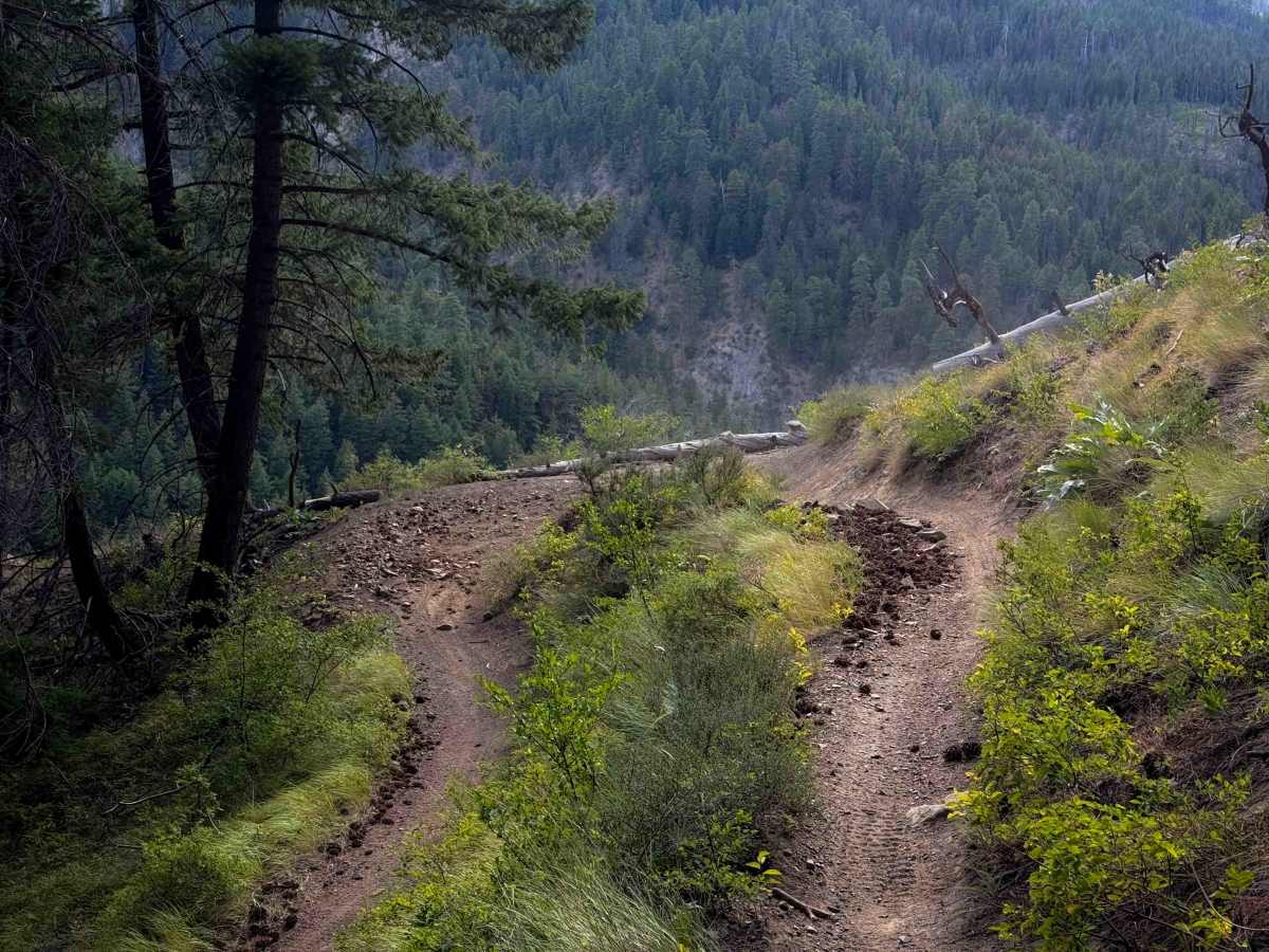 Devil’s Gulch - FS 1220 photo 3