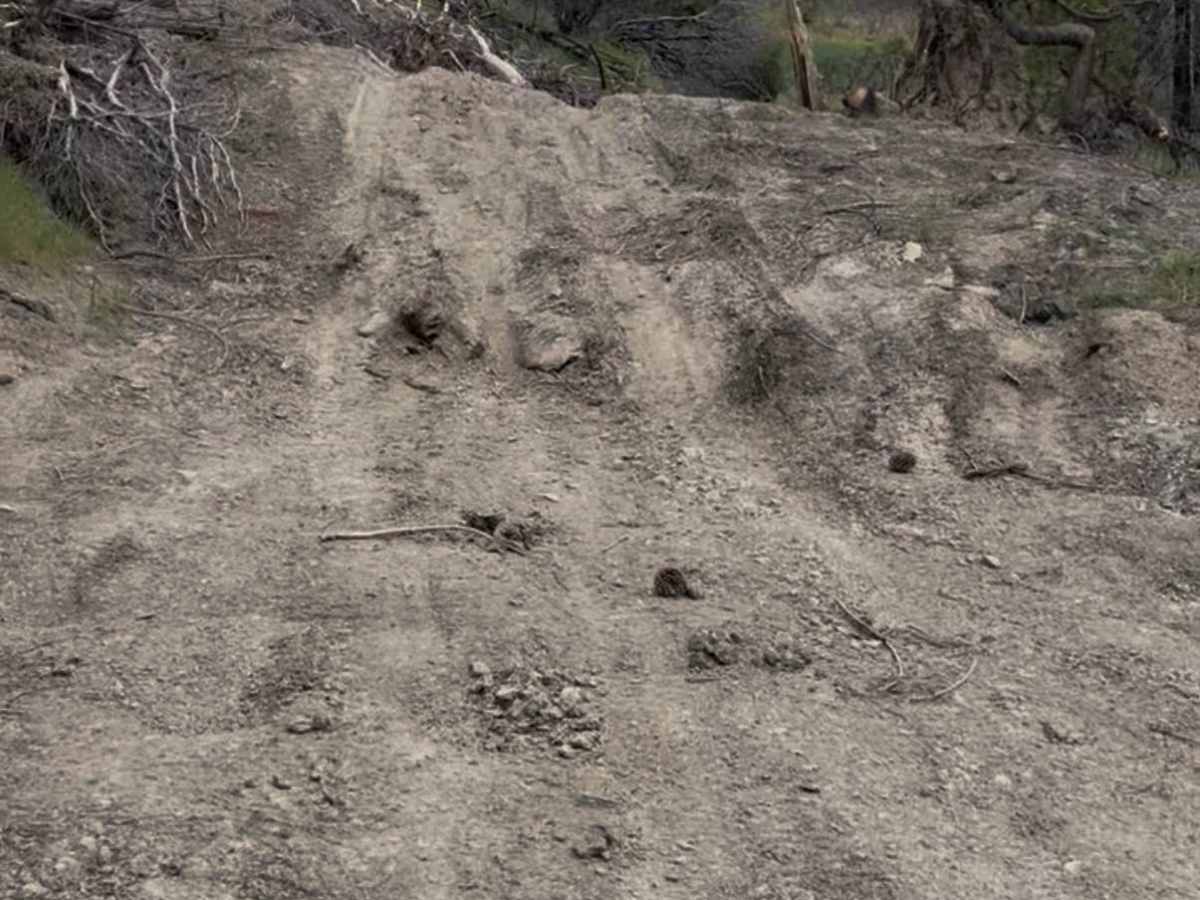 Pillsbury-Indian Dick Road photo 3