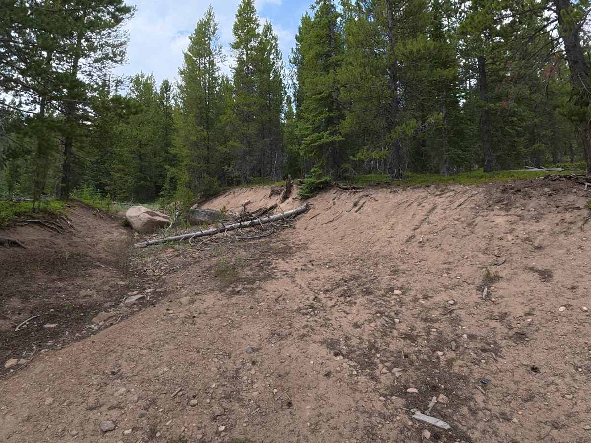 Pine Road - FS 264 trail photo