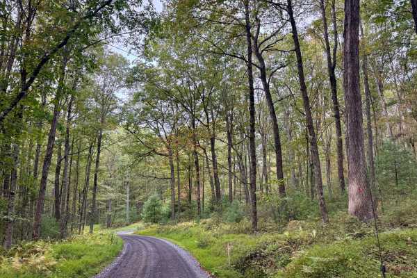 Pfoutz Valley Rd