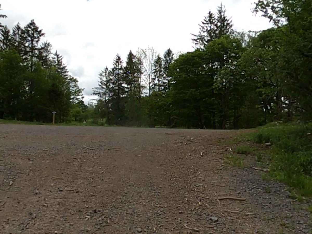Lewis County Area A - Green Trail photo 2