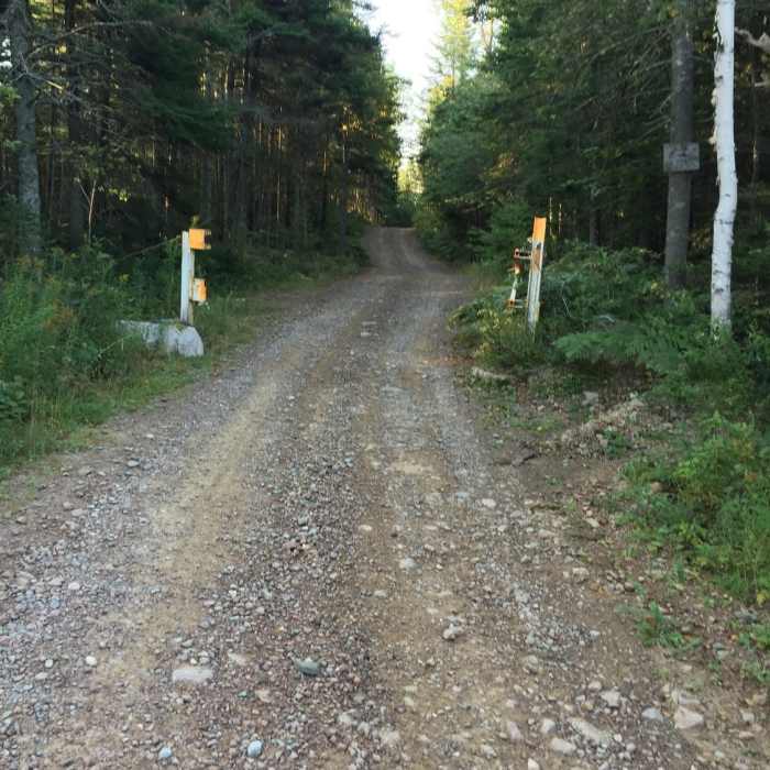 Near Turtle Mountain