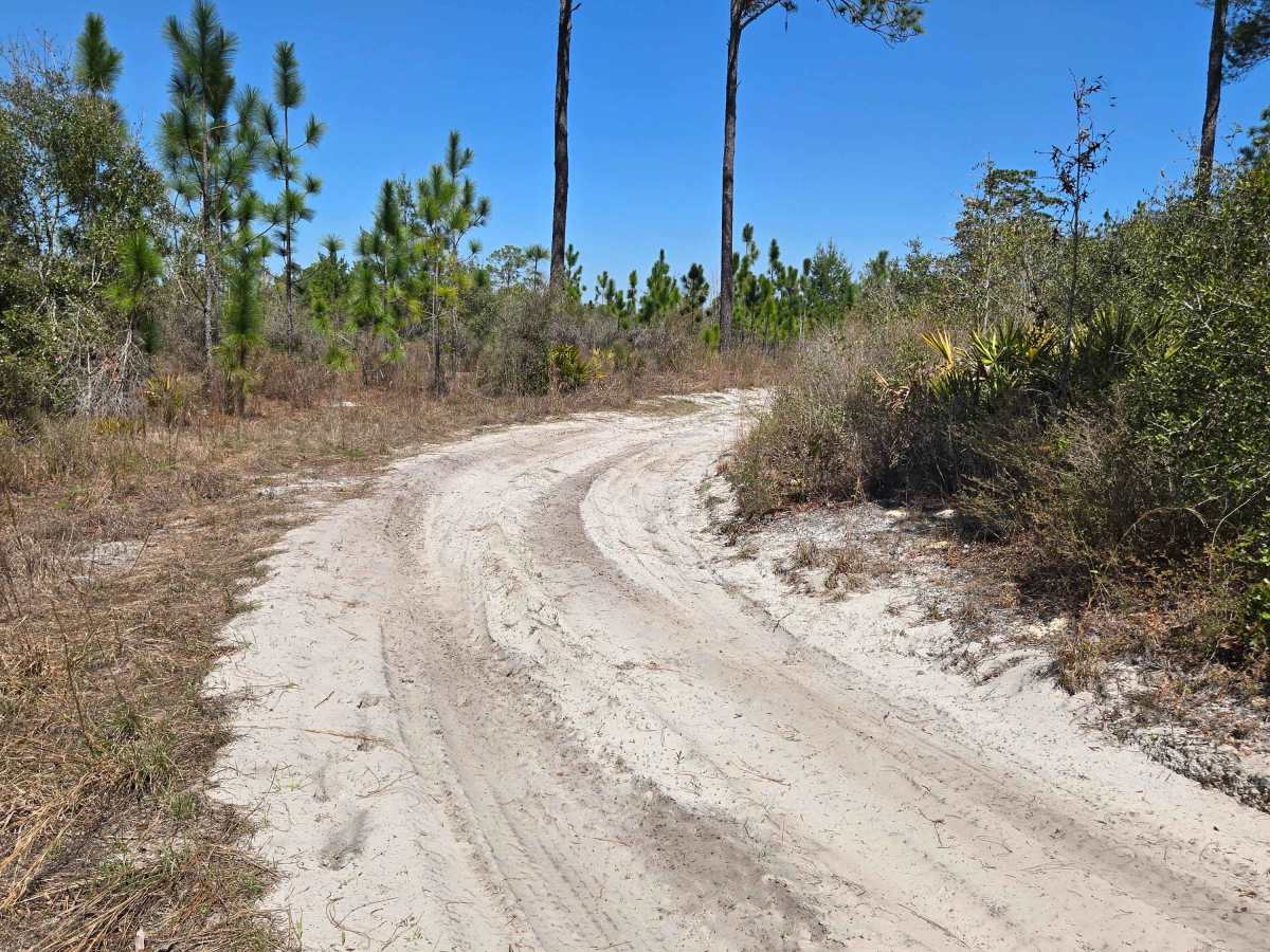 Sandy Trail photo 4