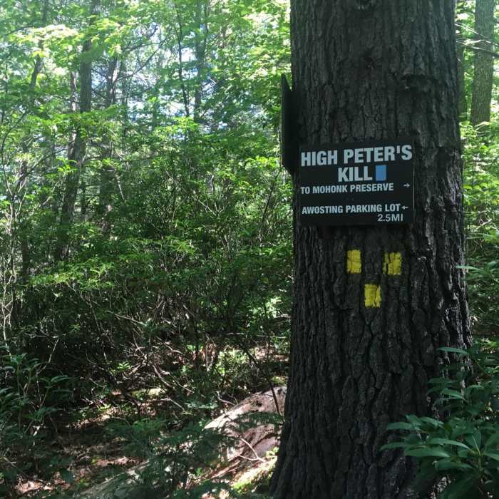 Near Shawangunk Ridge Trail: Peterskill Section