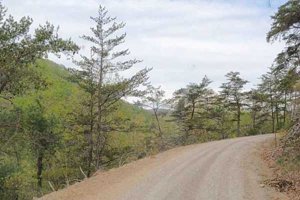 Cove Creek Road