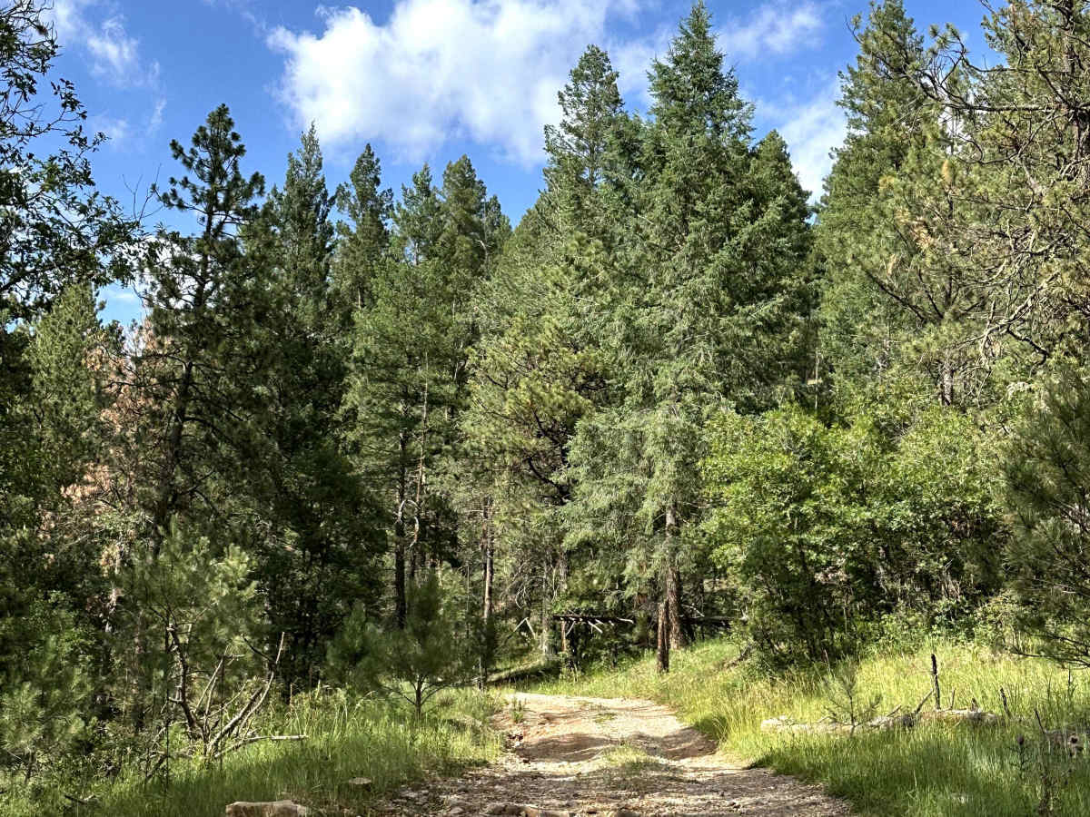 Agua Chiquita Ridge photo 3