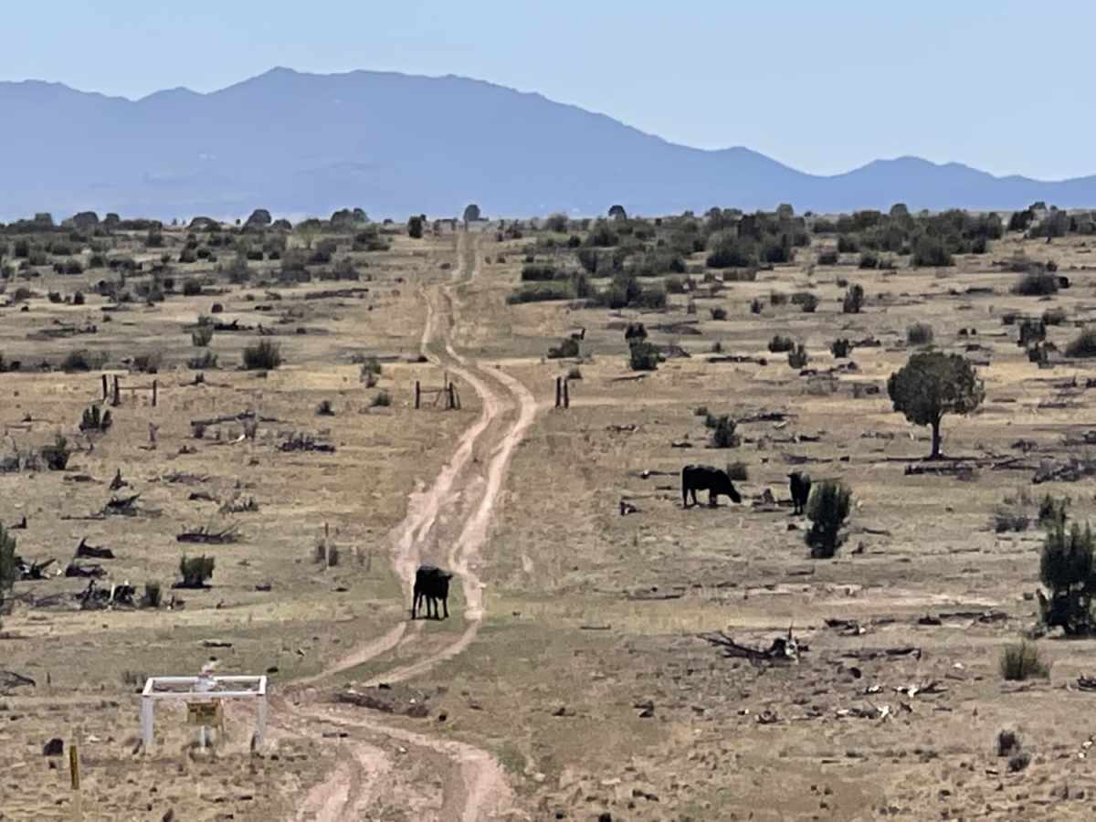 Northern Pipe Line Road trail photo